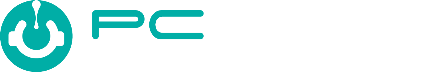 PC Geek